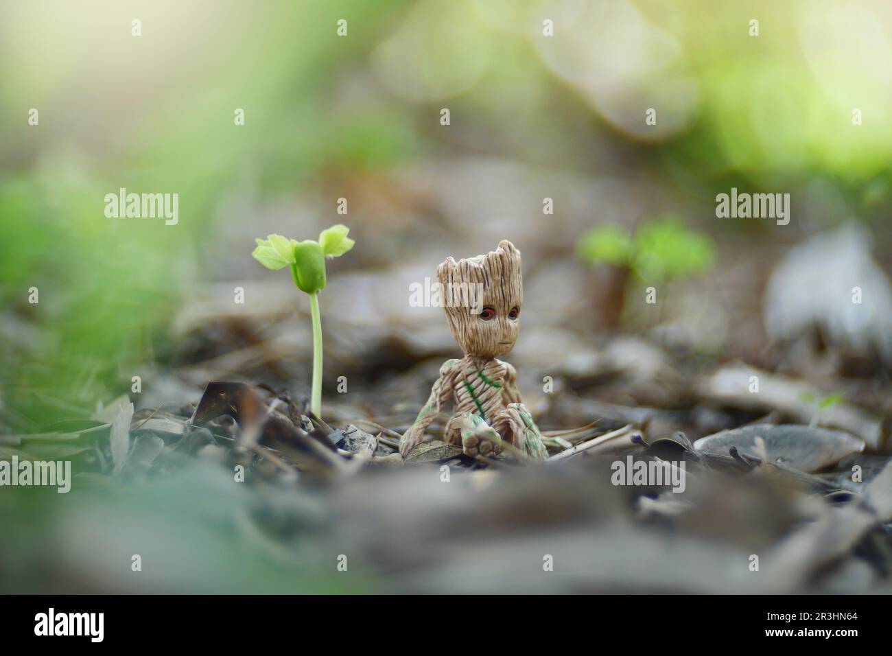 Baby Groot è seduto nel giardino verde del parco pubblico. Chiang mai, Thailandia. Foto Stock