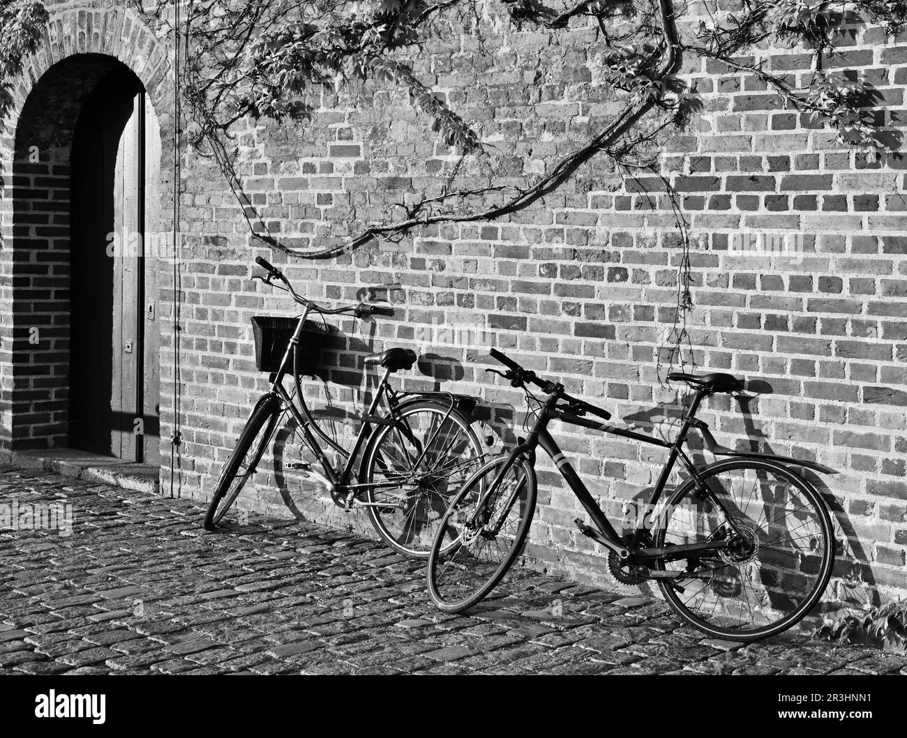 Biciclette in Copenhagen Foto Stock