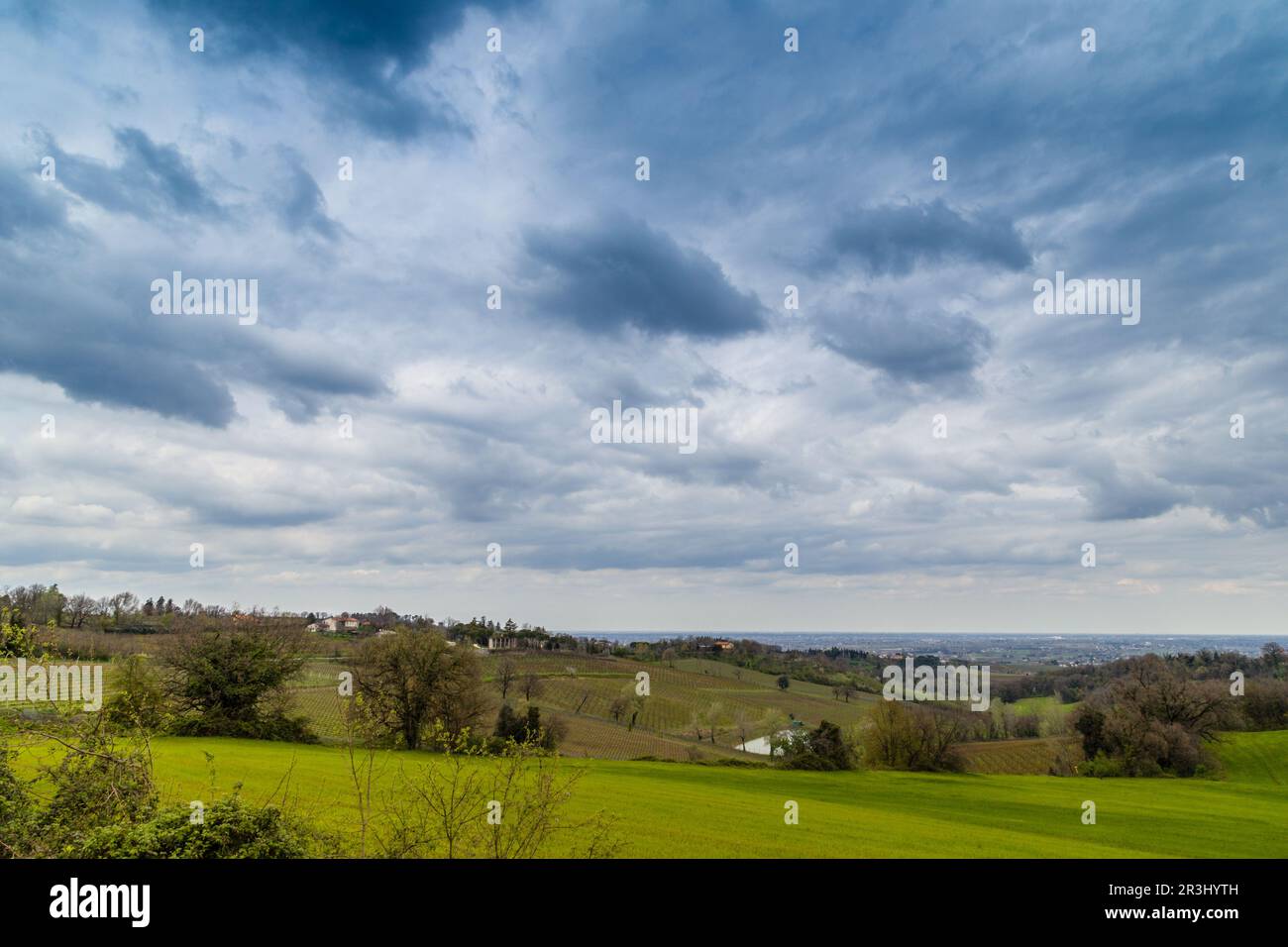 Campi agricoli coltivati in Italia Foto Stock