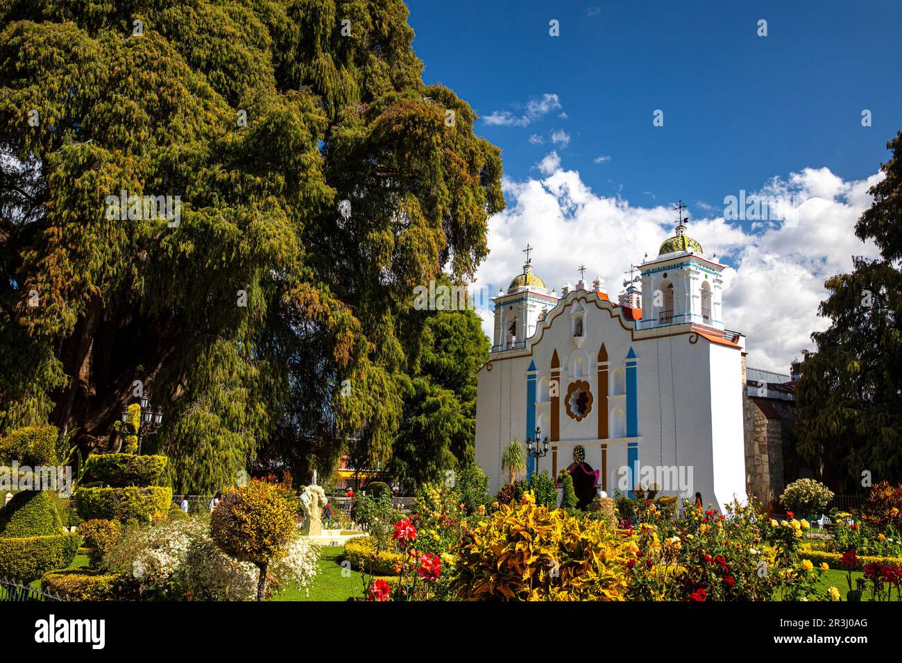 Santa Maria del Tule, Oaxaca, Messico Foto Stock