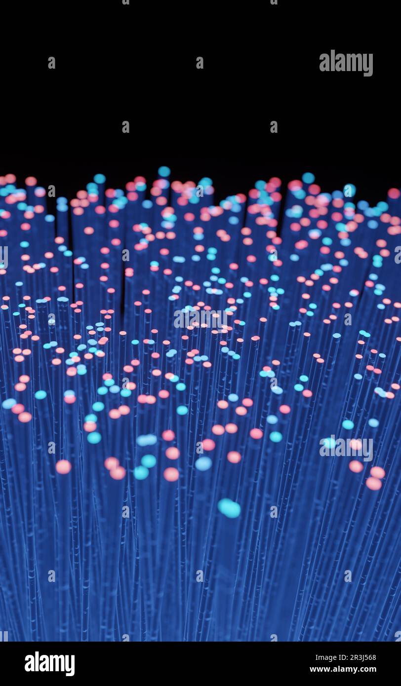 Fibra ottica per la trasmissione dei dati Foto Stock