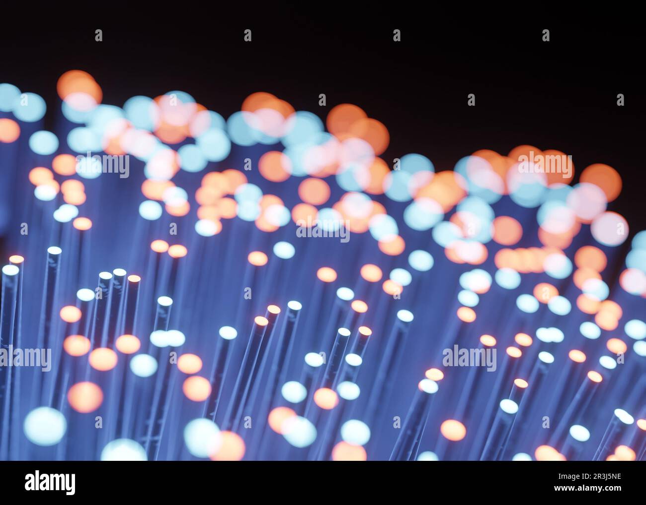 Fibra ottica per la trasmissione dei dati Foto Stock