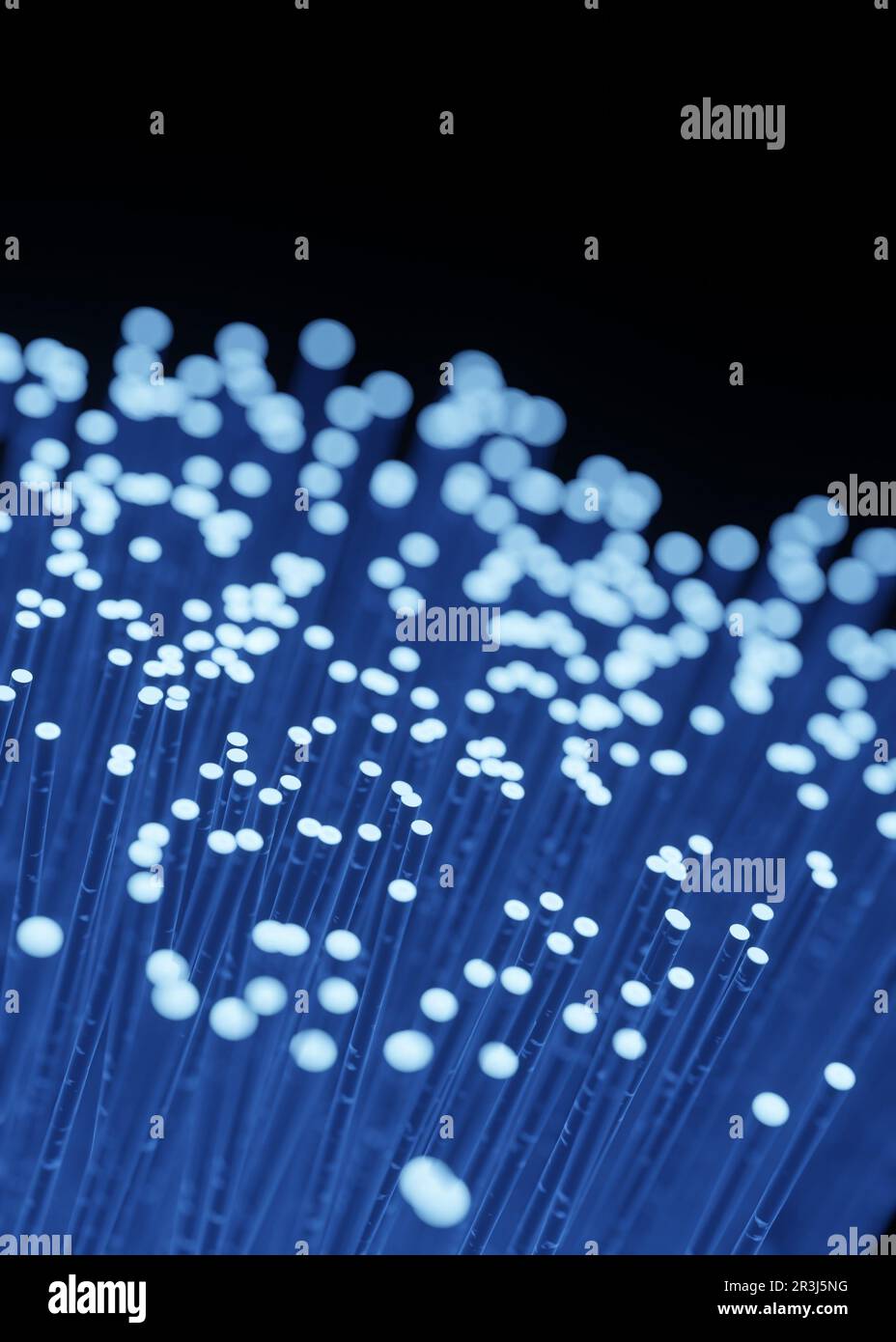 Fibra ottica per la trasmissione dei dati Foto Stock