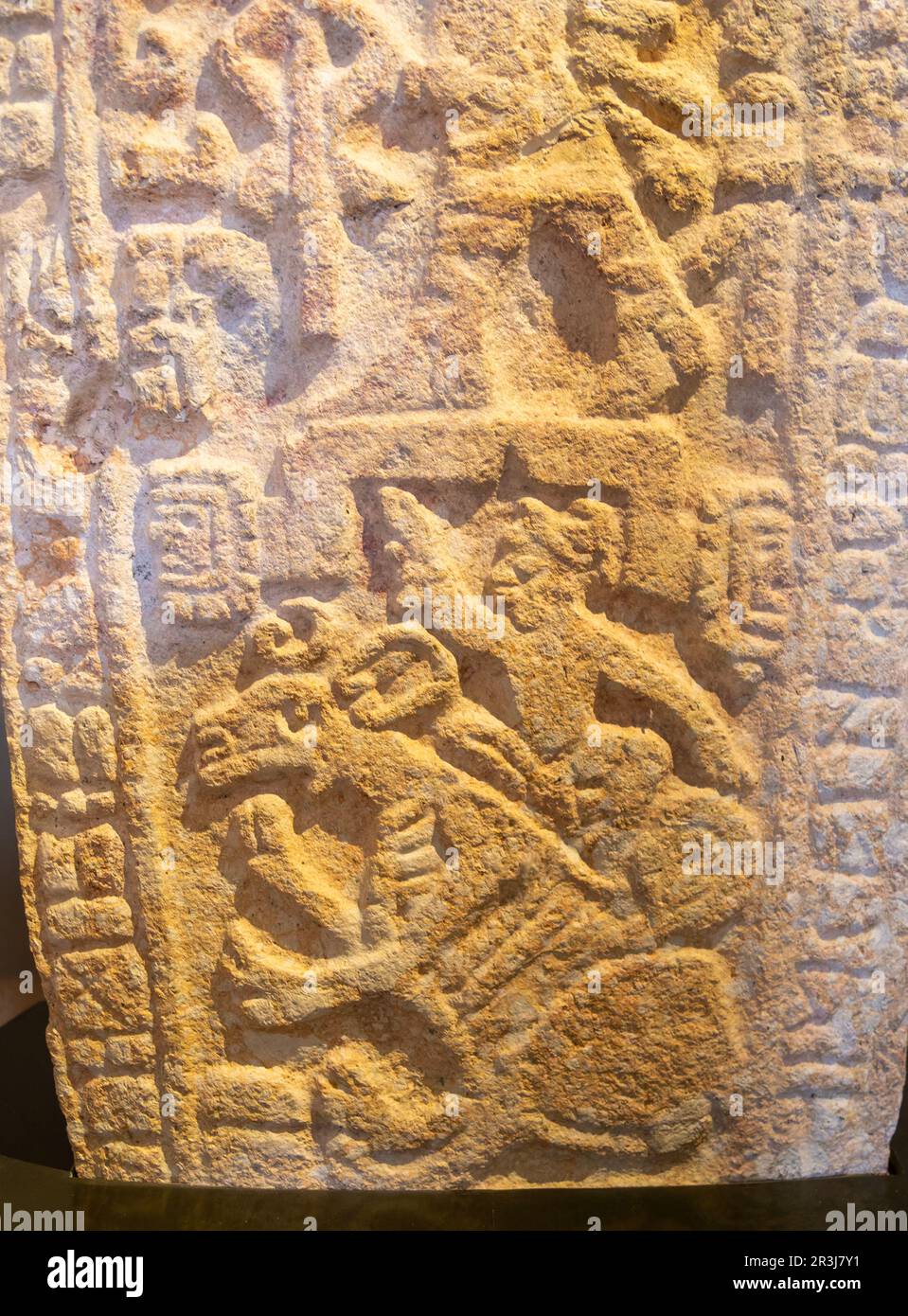 Stela di sacrificio di cervo da Dzibilnocac, periodo tardo classico, museo di Archeologia Maya, città di Campeche, Messico Foto Stock