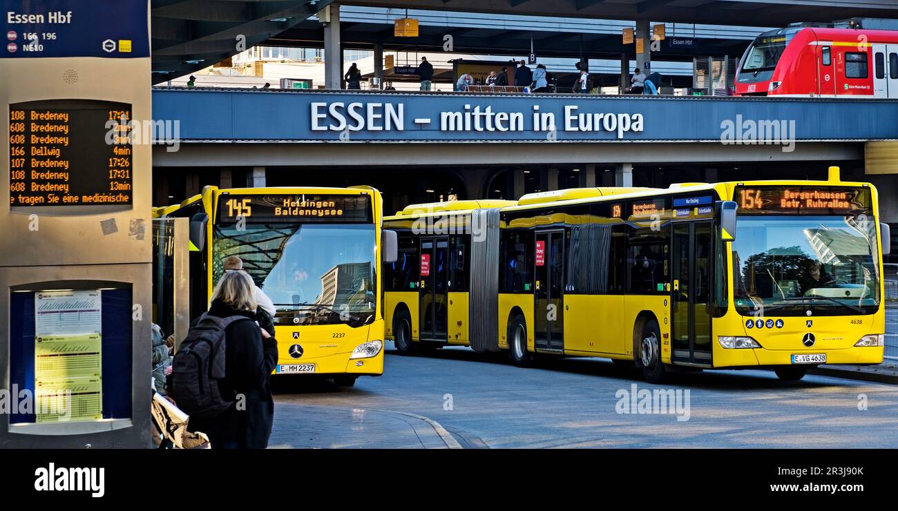 Autobus della Essener Verkehrsbetriebe alla stazione centrale, Essen, Ruhr zona, Germania, Europa Foto Stock