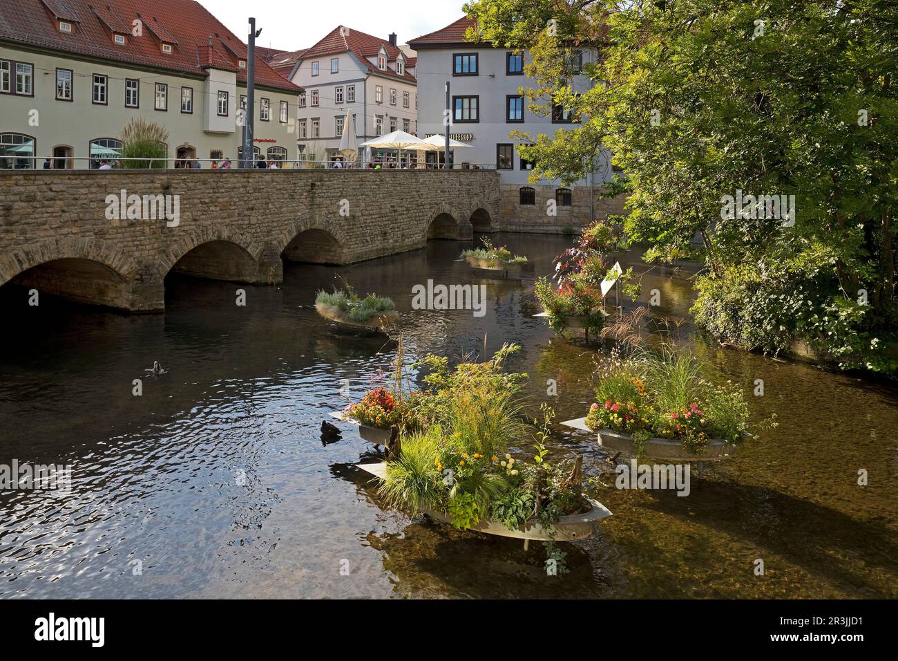 Vasche di zinco a forma di barche con piante fiorite sul fiume Gera, Erfurt, Germania, Europa Foto Stock