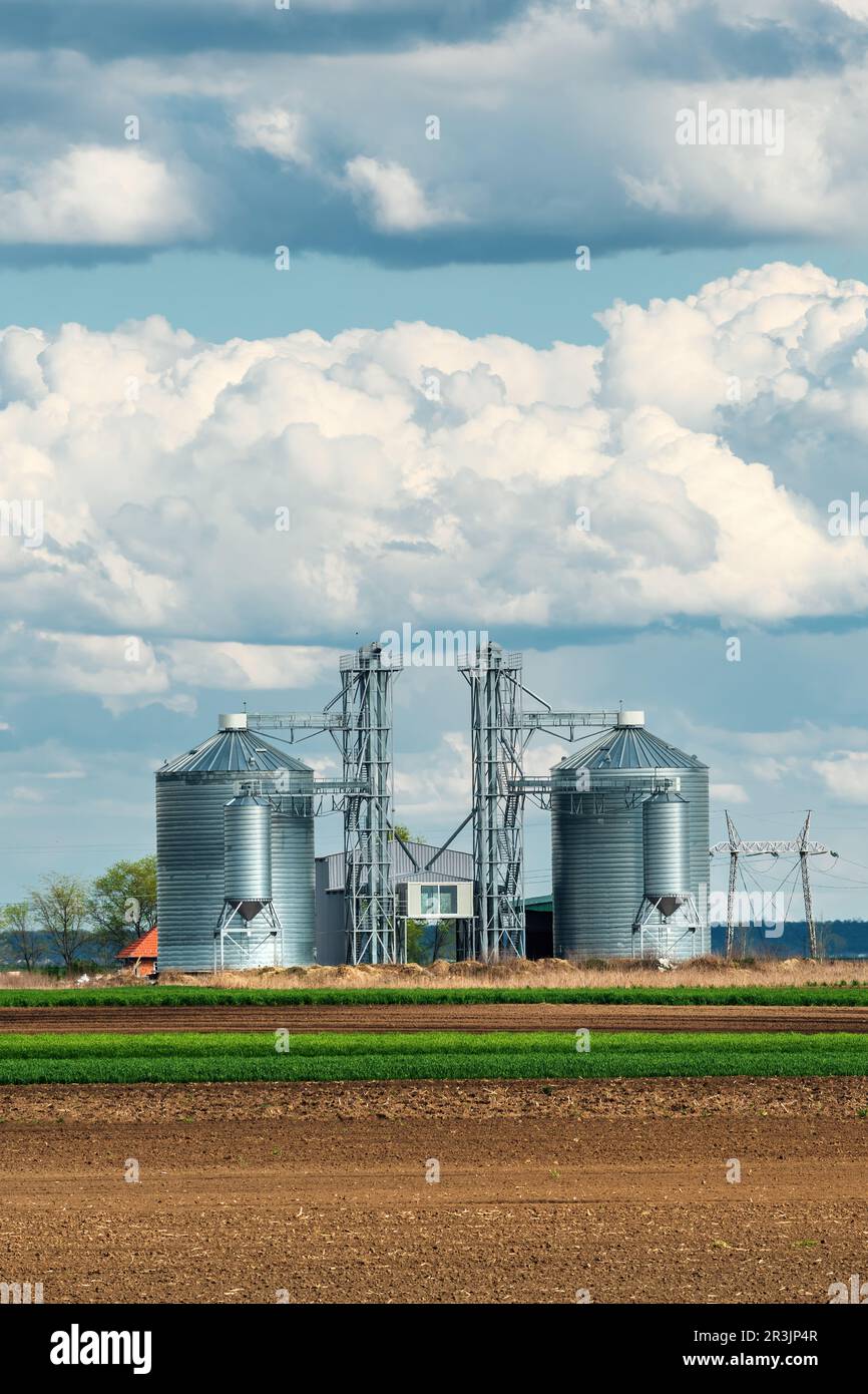 Protezione del raccolto in due silos di grano grande. Deposito e conservazione per raccolti preziosi. Granai in acciaio prodotti utilizzati per immagazzinare la granella in loco. Foto Stock