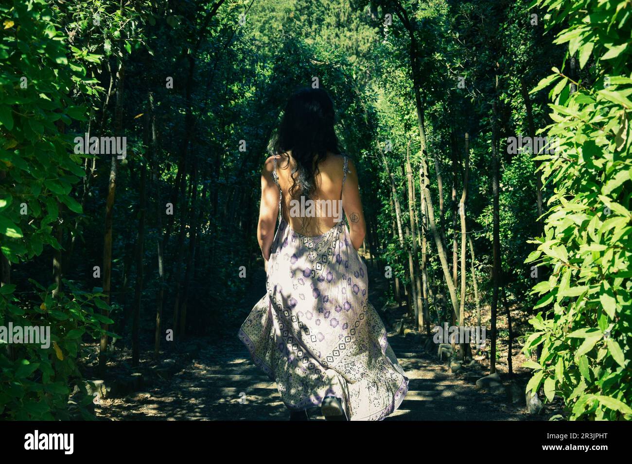 ragazza da dietro circondata dal verde Foto Stock