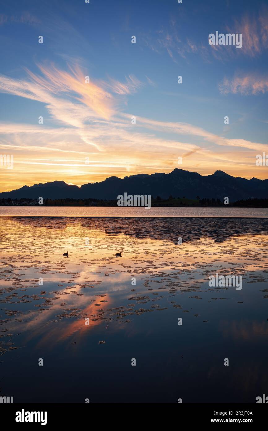 Lago Hopfensee vicino a FÃ¼ssen all'alba. Con Ammergauer Alpen sullo sfondo Foto Stock