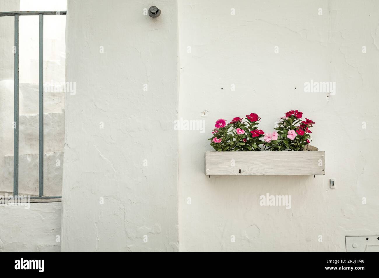 Fiori su una facciata a Cisternino, Italia Foto Stock