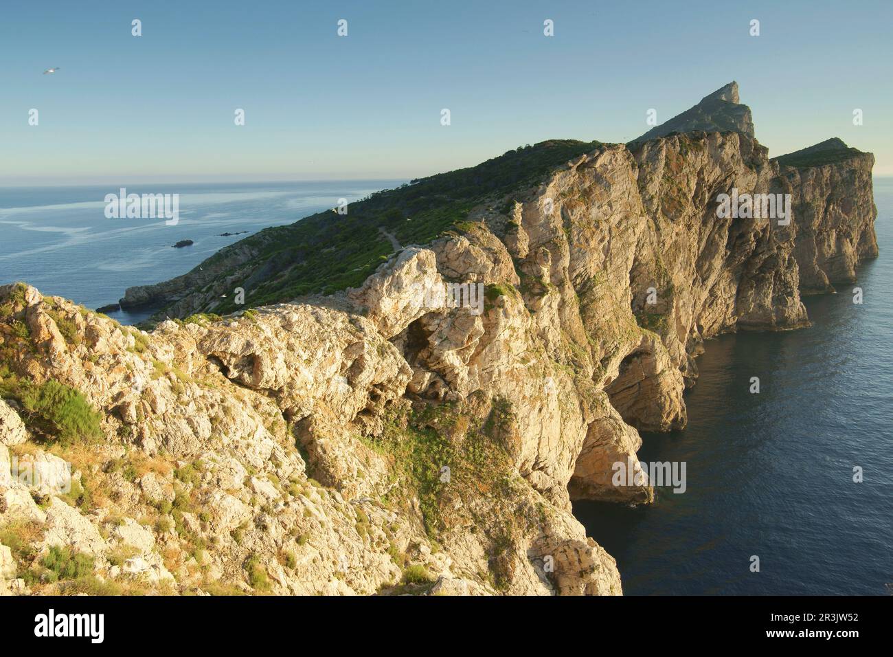 Parque Natural de Sa Dragonera.Andratx.Ponent.Mallorca.Baleares.España. Foto Stock