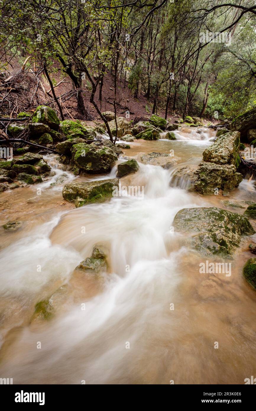 Torrent des Freu, valle de Coanegra, Orient,Maiorca, isole Baleari, Spagna. Foto Stock