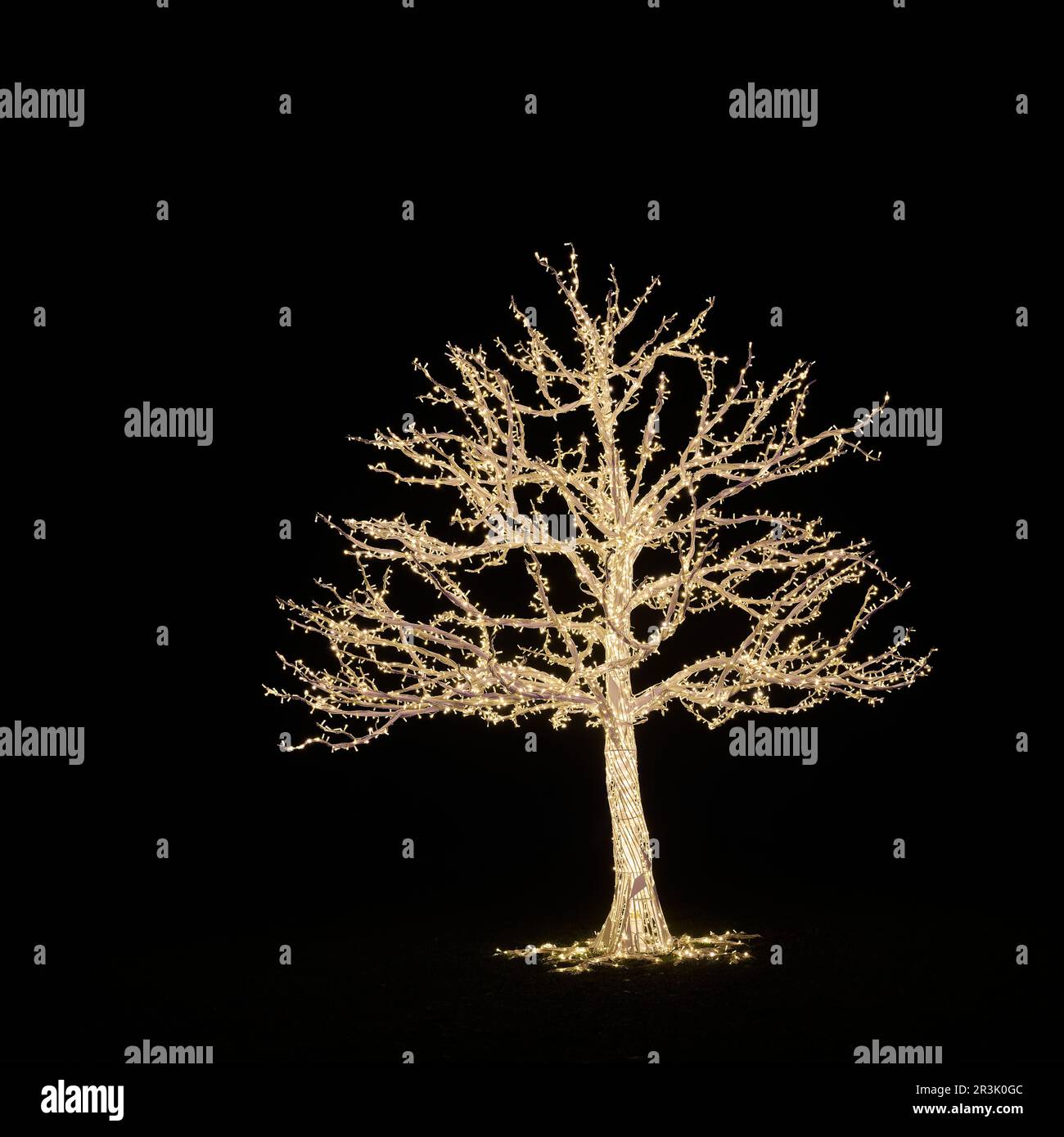 Un albero come una decorazione illuminata fatta di luci di fata Foto Stock