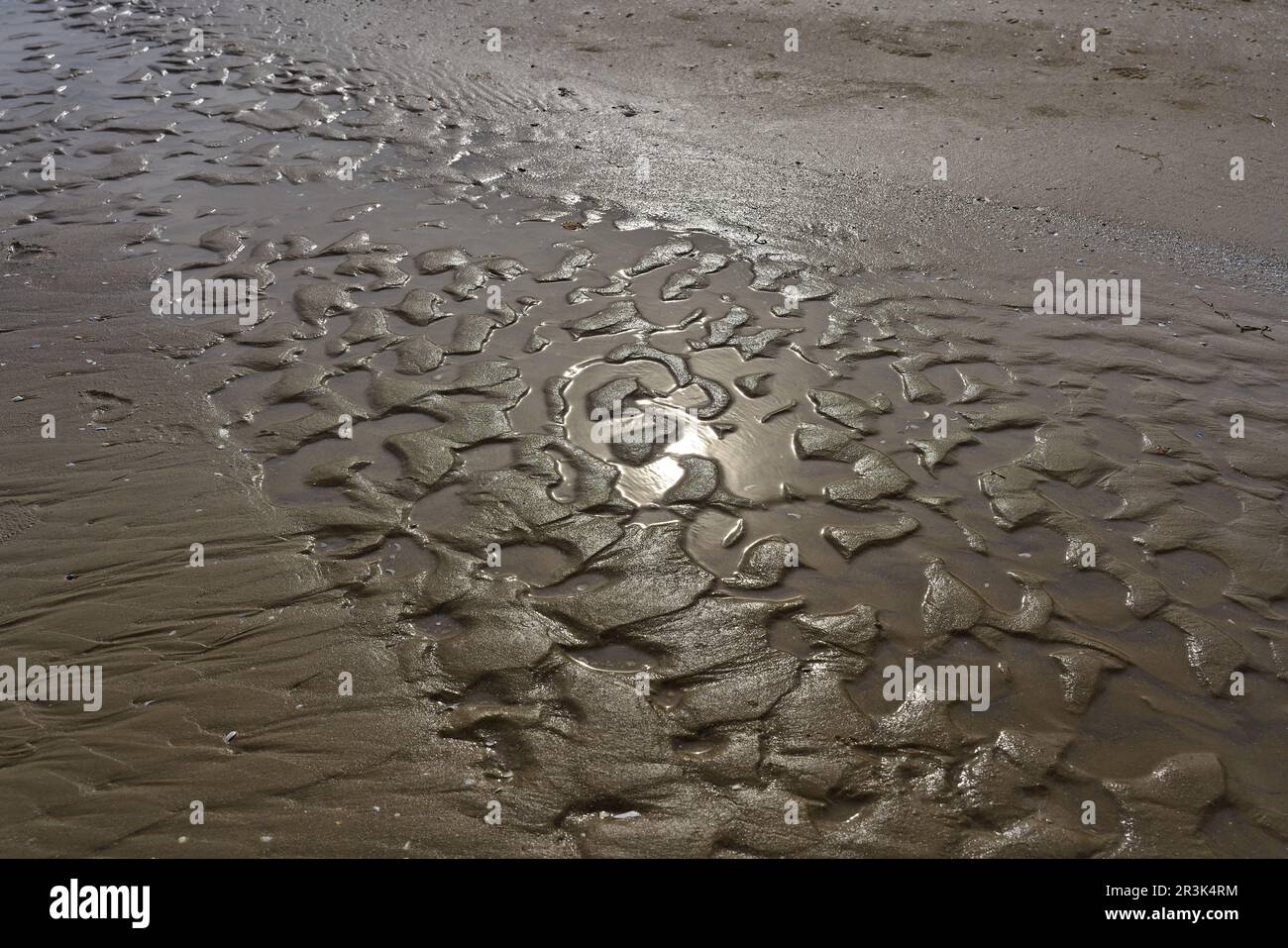 Riflesso del sole sulla sabbia bagnata della costa baltica polacca Foto Stock