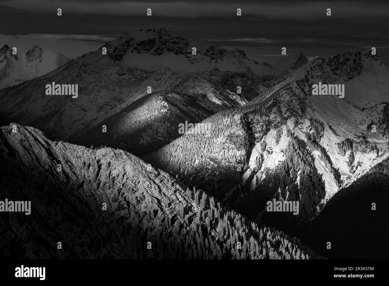 Tannheimer tal bianco e nero in inverno con neve fresca e profonda Foto Stock