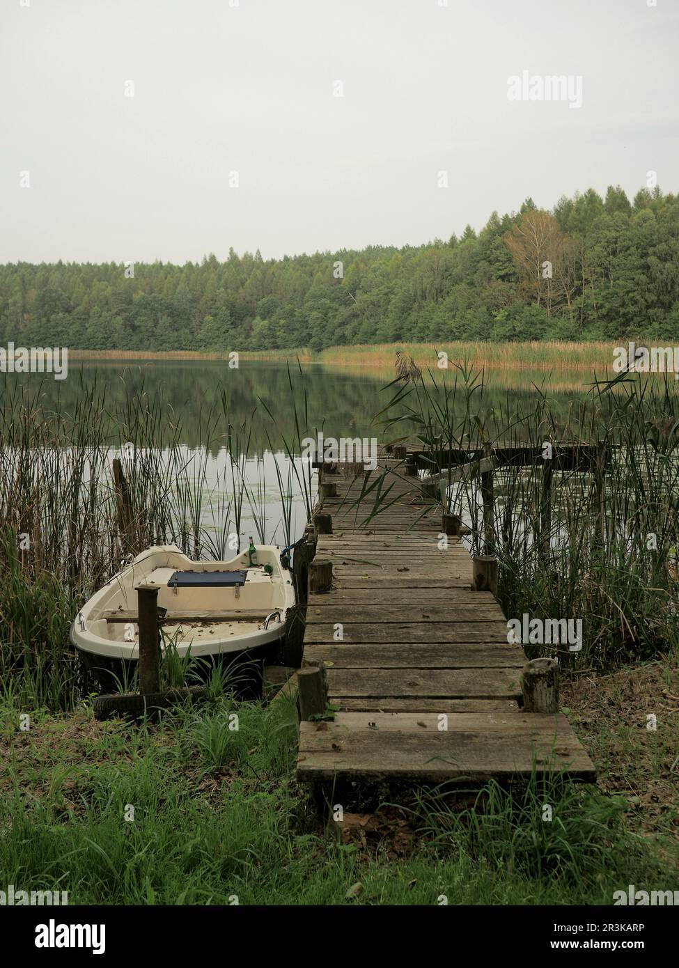 Row boat in un lago nel parco nazionale di Müritz Foto Stock