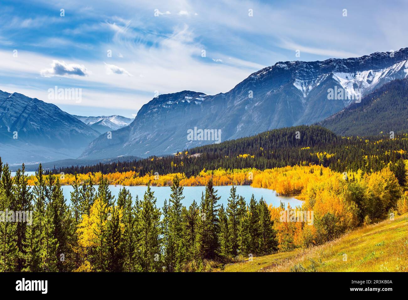 Lago Abraham. La prima neve è già caduta sulle cime delle Montagne Rocciose canadesi. Il fogliame giallo di betulle e asperi è mescolato con conifere verdi Foto Stock