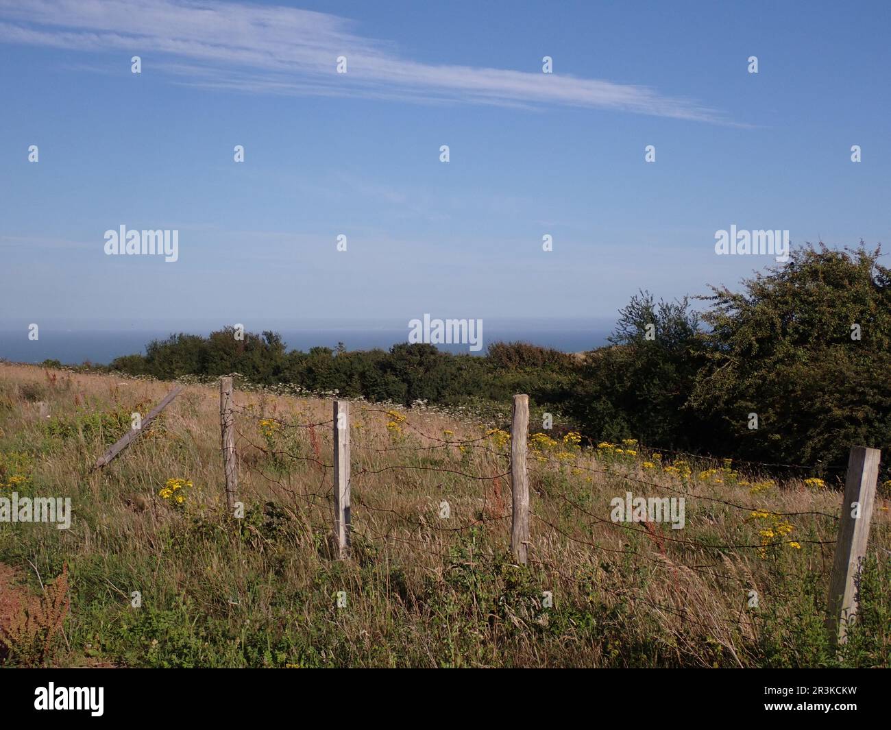 Recinzione in un campo sulla costa sud inglese Foto Stock