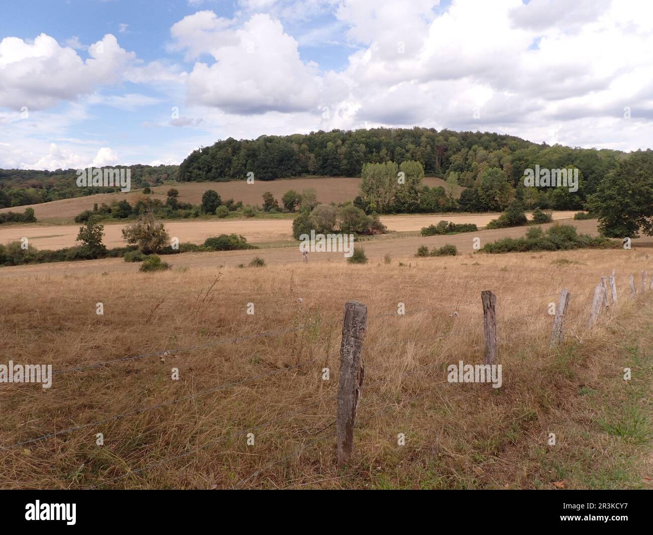 Campi e una collina nella regione di Gaume in Belgio Foto Stock