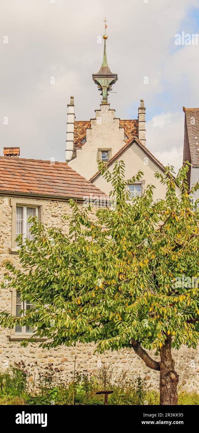 Mura della città e torre di foche Diessenhofen, Svizzera Foto Stock