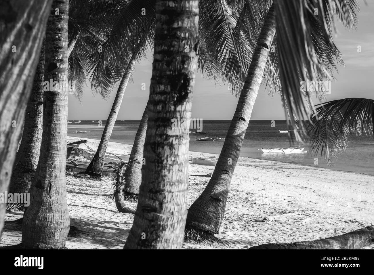 Spiaggia bianca e nera di Siquijor al tramonto, palme e barche Bangka nelle filippine Foto Stock