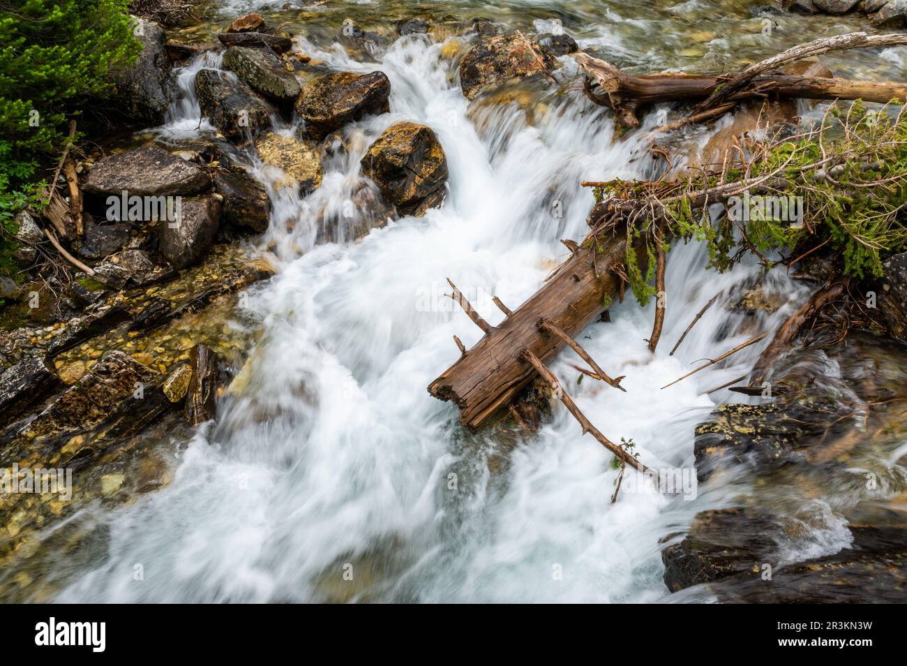 Acqua da Paintbrush Creek Pummels Rocks e alberi caduti in Paintbrush Canyon nel Parco Nazionale del Grand Teton Foto Stock