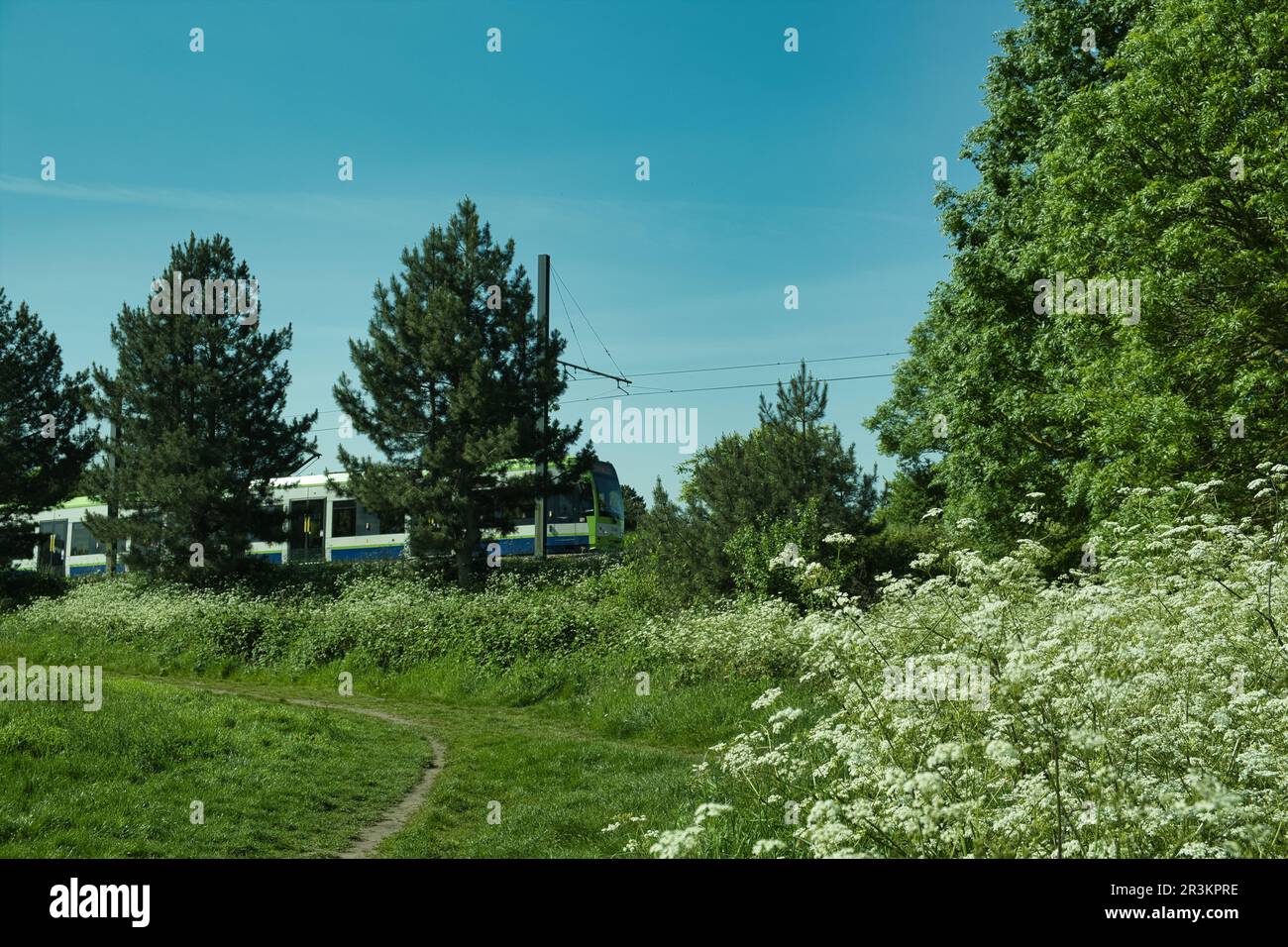 Tram che attraversa South Norwood Park a Croydon, South London Foto Stock