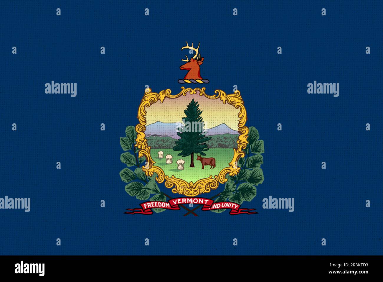 Bandiera del Vermont. Bandiera dello stato americano Vermont. Simbolo del Vermont. Stato americano. Trama del tessuto Foto Stock