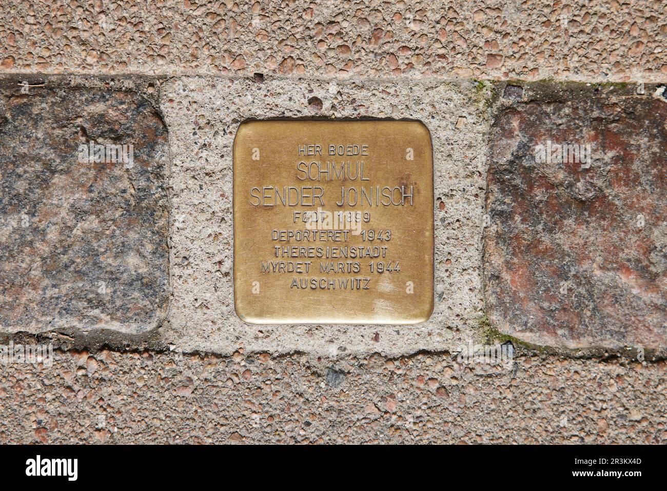 Stolperstein (snublesten), Sølvgade, Copenaghen, Danimarca Foto Stock
