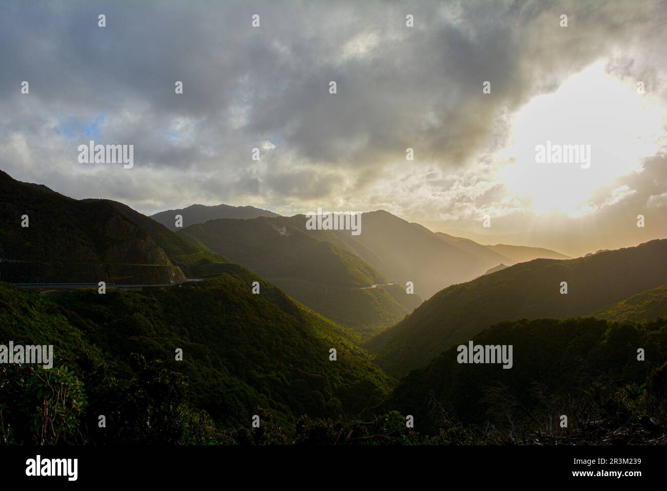 Natura a maggio in nuova Zelanda. Una foresta, una cicogna e montagne sull'isola settentrionale. Momenti di viaggio catturati con Nikon D5200. Foto Stock