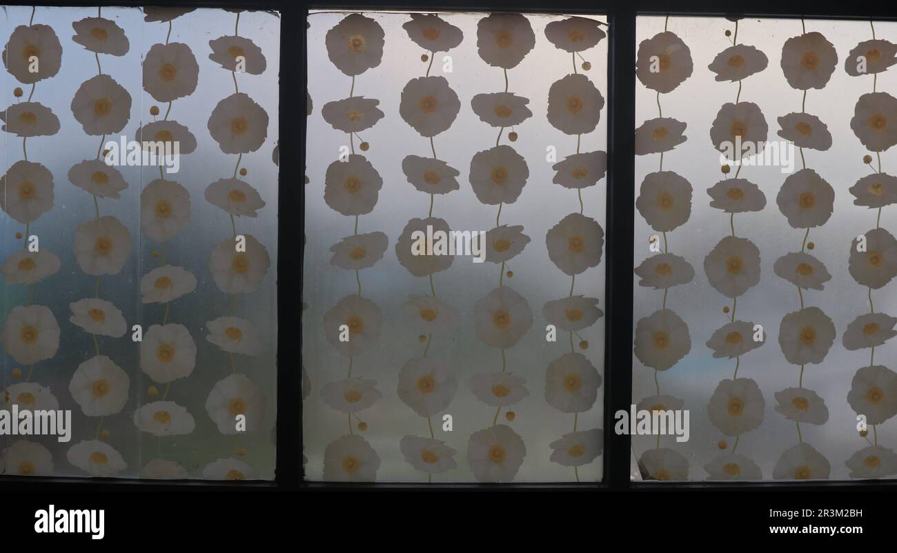 adesivi floreali possono essere visti nelle finestre di vetro della casa Foto Stock