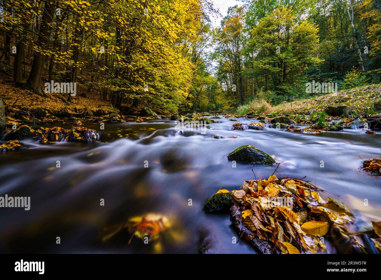 Magia autunnale su un paesaggio fluviale a Lusatia - l'acqua di LÃ¶bauer 13 Foto Stock