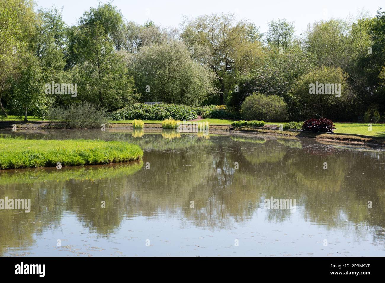 Il lago Breezy ginocchia Giardini Foto Stock