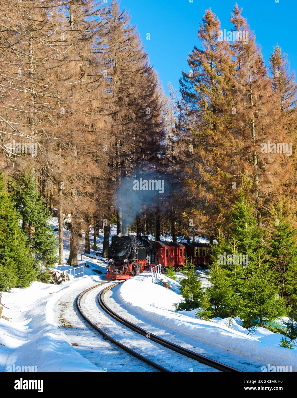 Treno a vapore durante l'inverno sulla neve nella Harz Germany Brocken Bahn Foto Stock