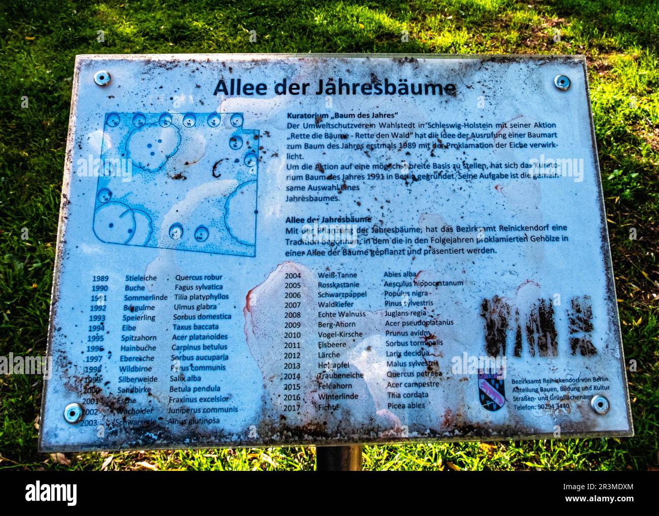 Scheda informativa Trees of the Year presso Avenue of Trees a Schäfersee Reinickendorf, Berlino. Il parco intorno al lago è stato disposto tra il 1922 e il 1928 Foto Stock