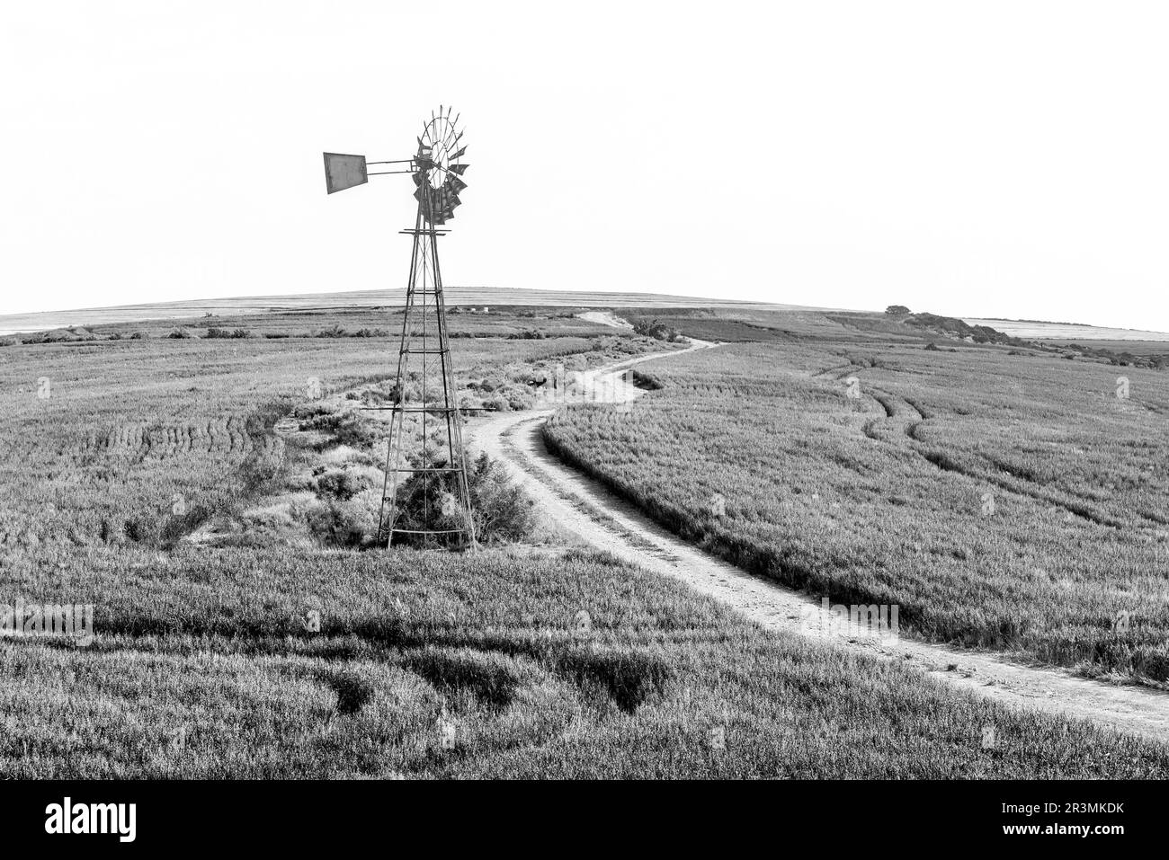 Bredasdorp, Sud Africa - 24 settembre 2022: Mulino a vento tra campi di grano verde sulla strada da Bredasdorp a Malagas nella Provincia del Capo Occidentale. MO Foto Stock