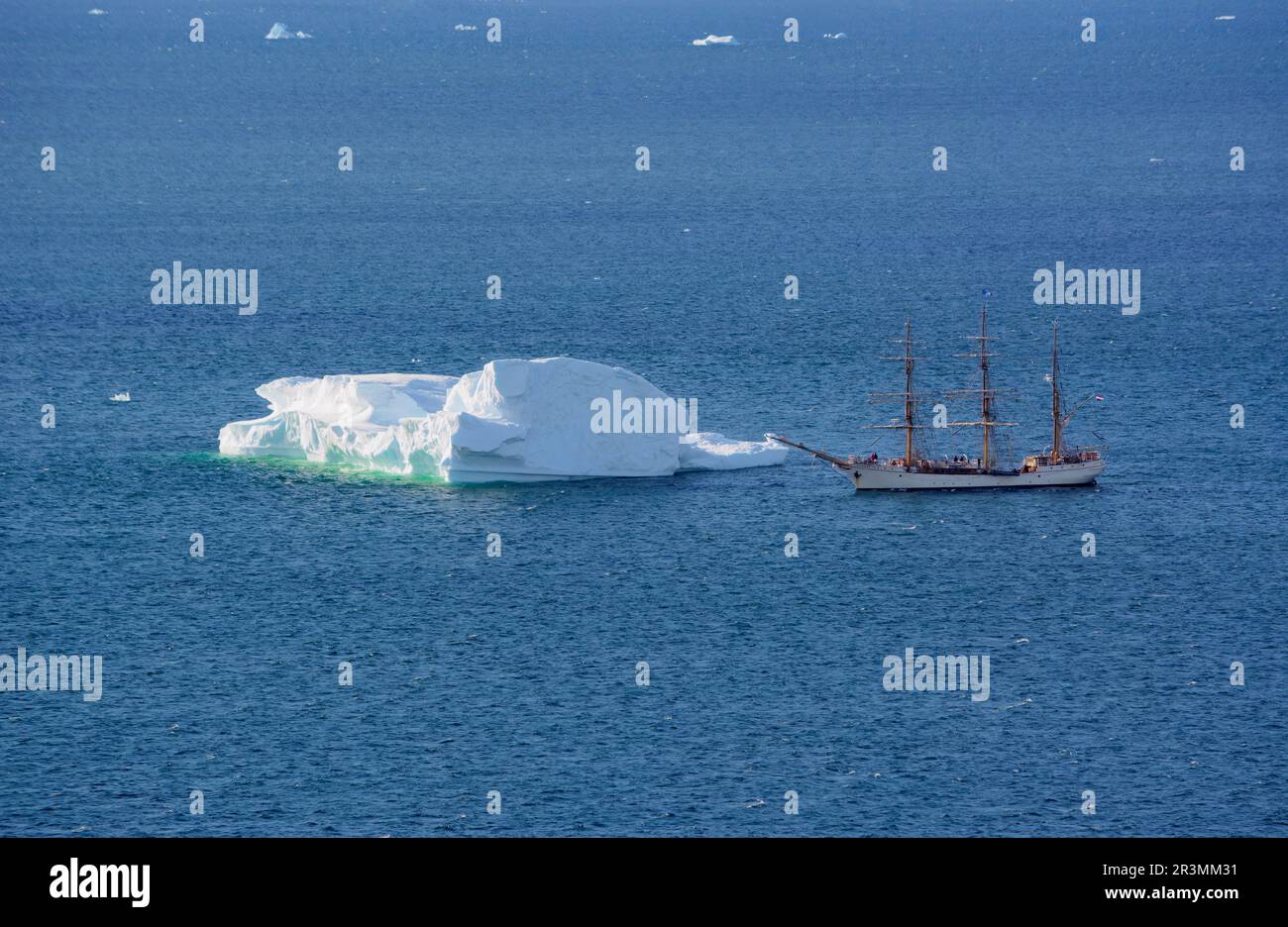 Barca a vela Bark Europa in una crociera antartica Foto Stock