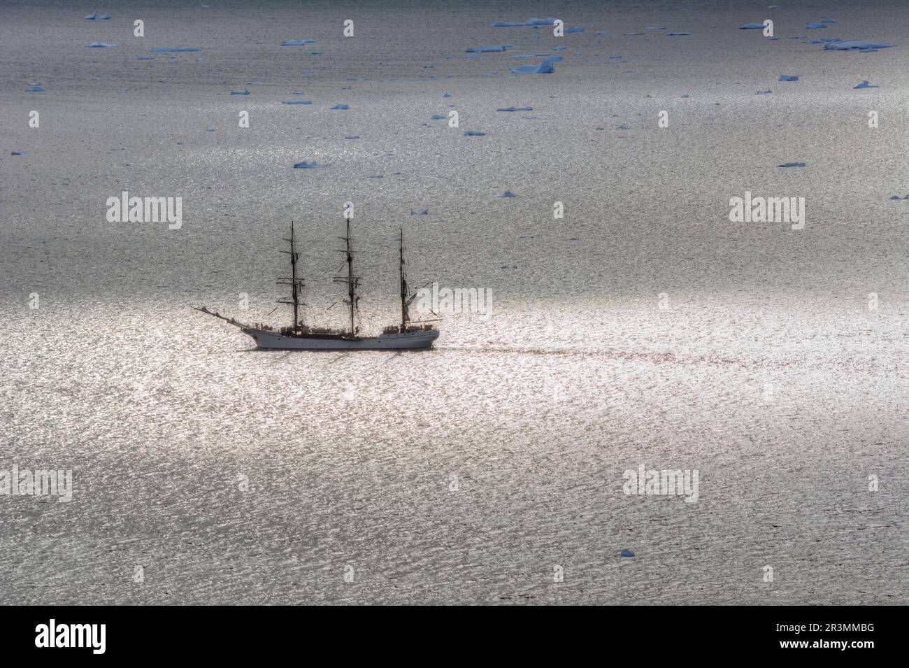 Barca a vela Bark Europa in una crociera antartica Foto Stock