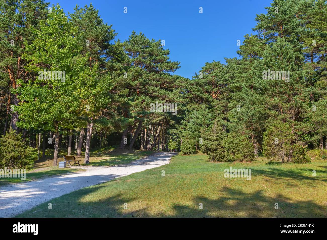 Palanga Botanical Park, Linuania Foto Stock