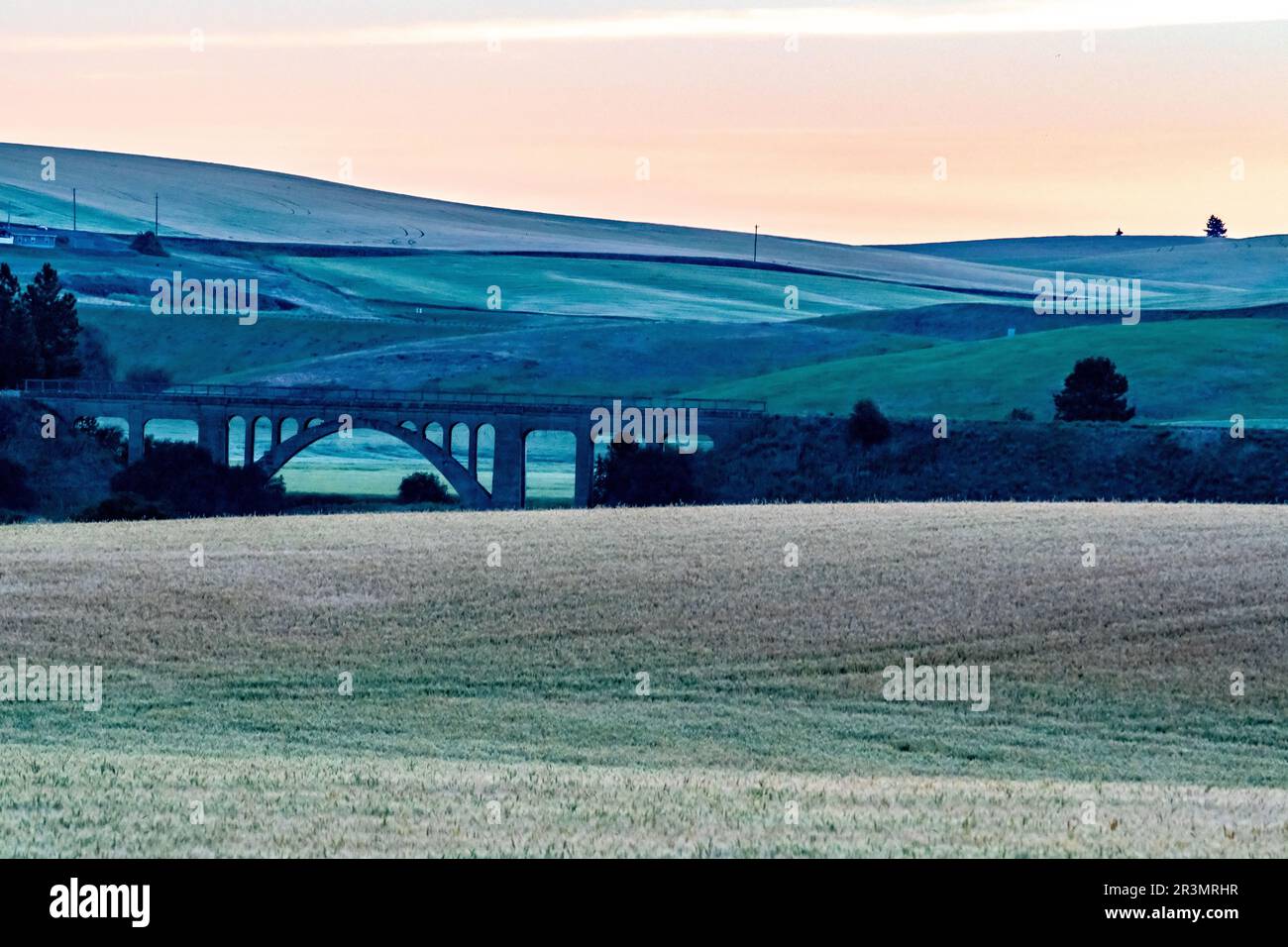 Paesaggi scene a palouse washington Foto Stock