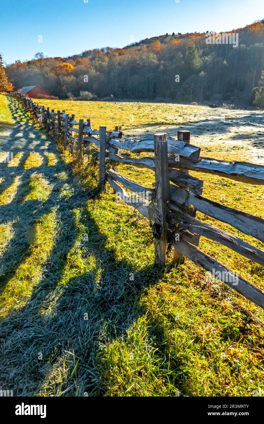 Gelido freddo mattina presto su campo di fattoria con recinzione all'alba Foto Stock