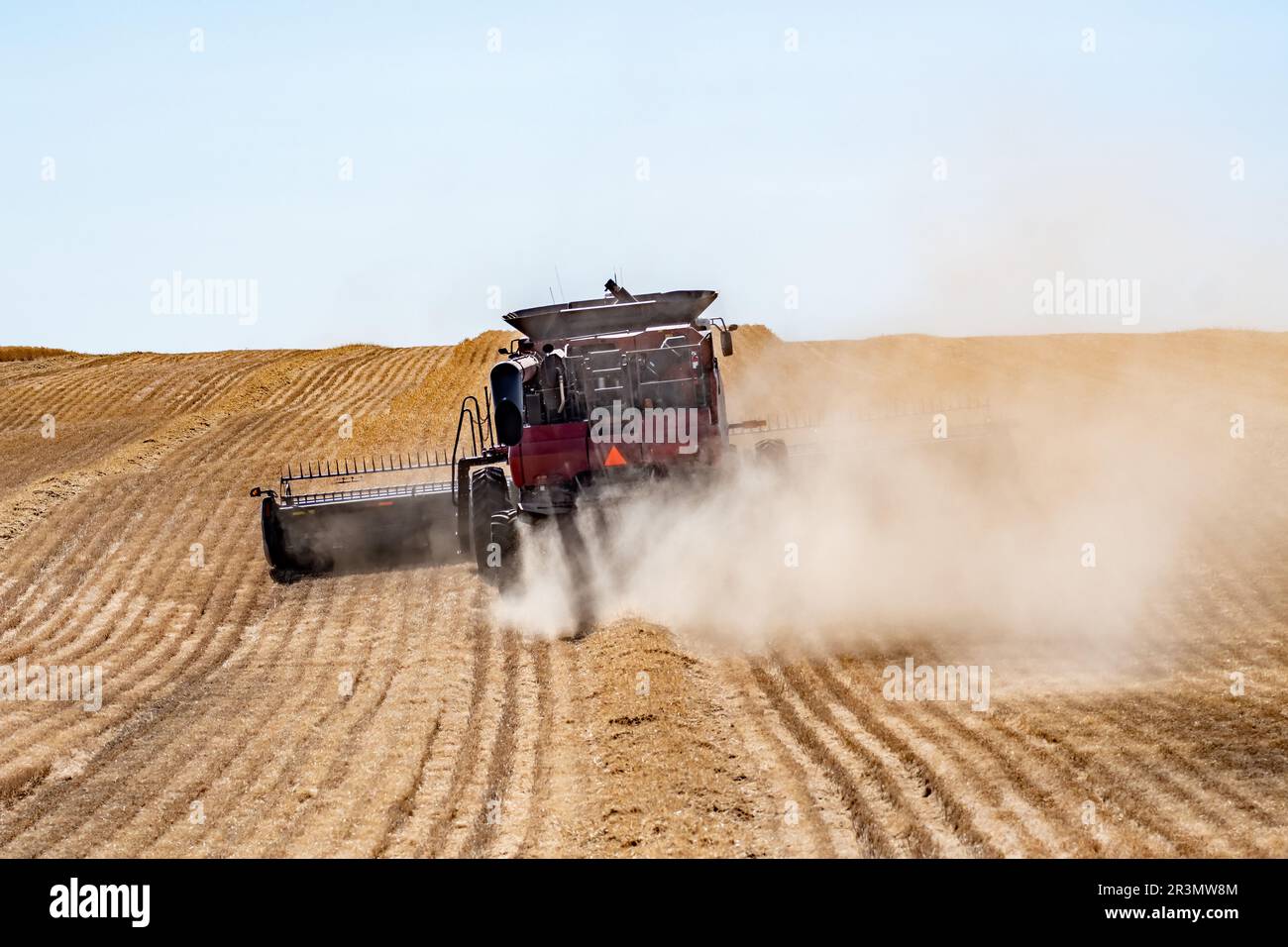 Raccolti su palouse washington campi di grano in estate Foto Stock