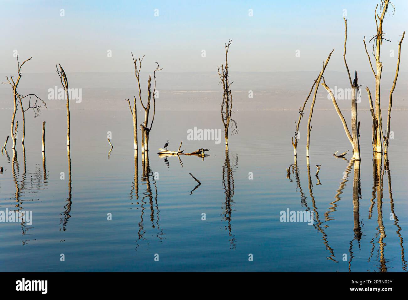 Rift Valley orientale africana Foto Stock