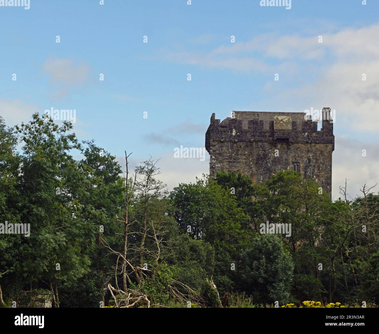 Castello di Aughnanure Irlanda Foto Stock