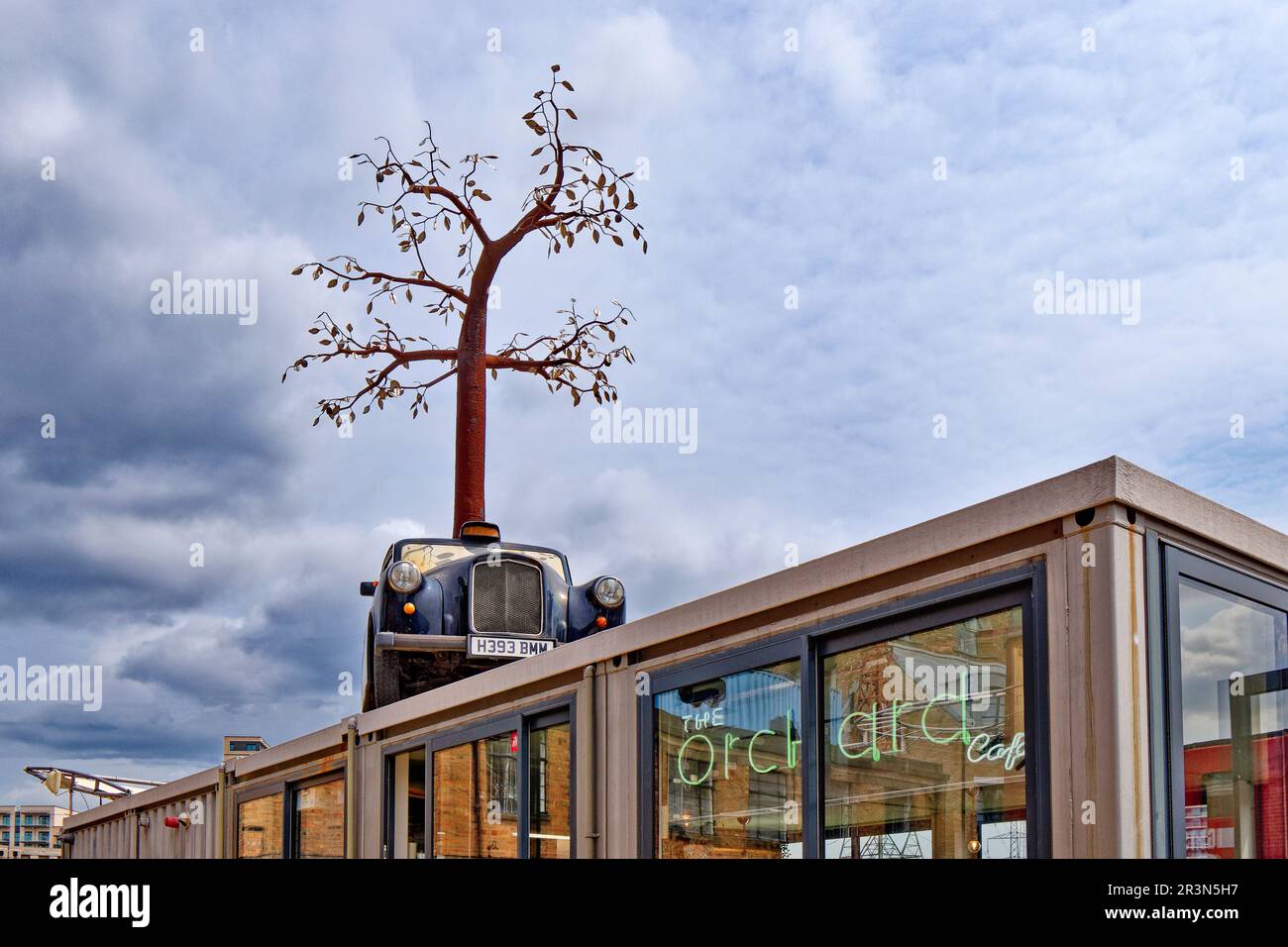 London Trinity Buoy Wharf Leamouth Peninsular Orchard Place Black Cab e albero sul tetto dell'Orchard Cafe Foto Stock