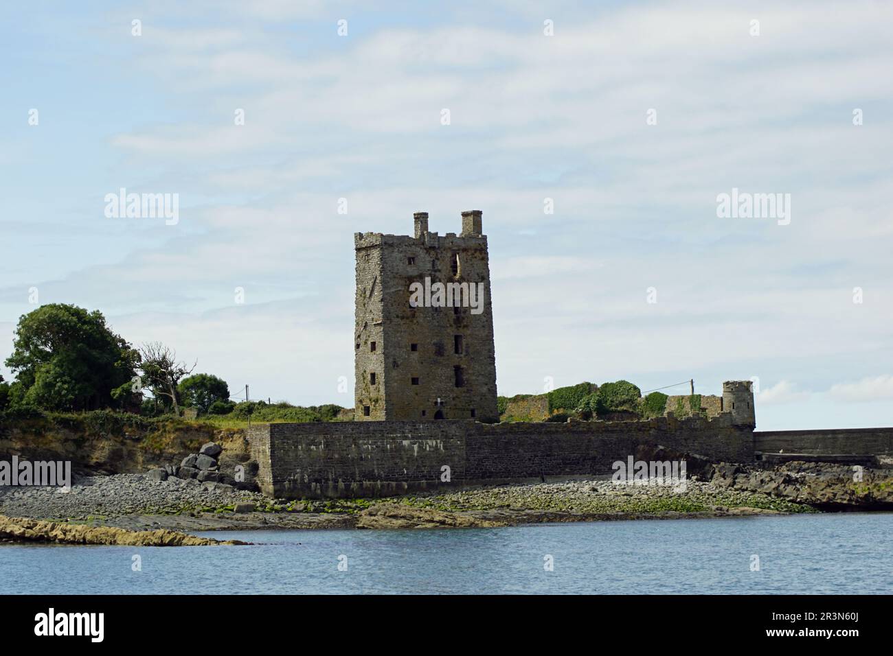 Tour dei Delfini del Castello di Carrigaholt MacMahon Foto Stock