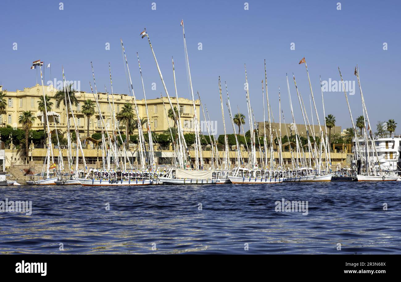 Gita in barca sul mare rosso in egitto Foto Stock