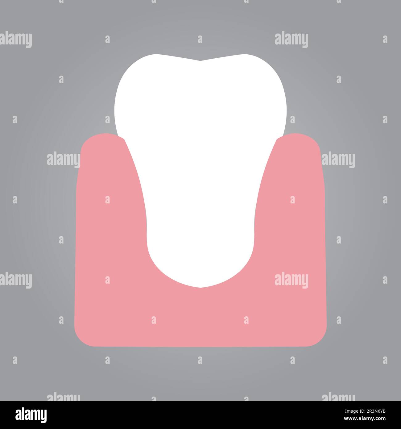 illustrazione di denti con gengiva, disegno vettoriale Illustrazione Vettoriale