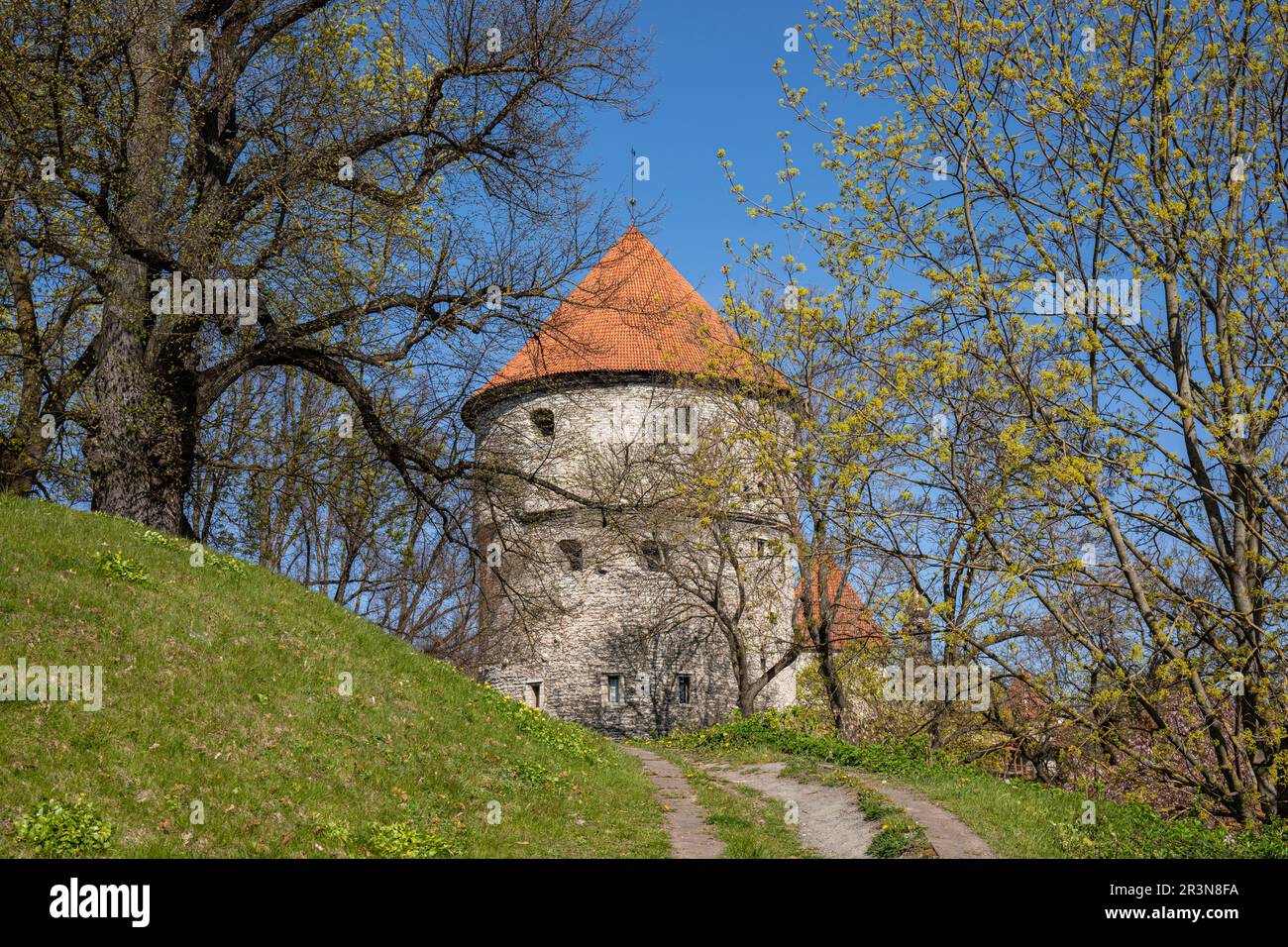 Kiek in de Kök, torre di artiglieria costruita nel 1475, contro il cielo azzurro in un giorno di sole primaverile a Vanalinn, la città vecchia di Tallinn, Estonia Foto Stock