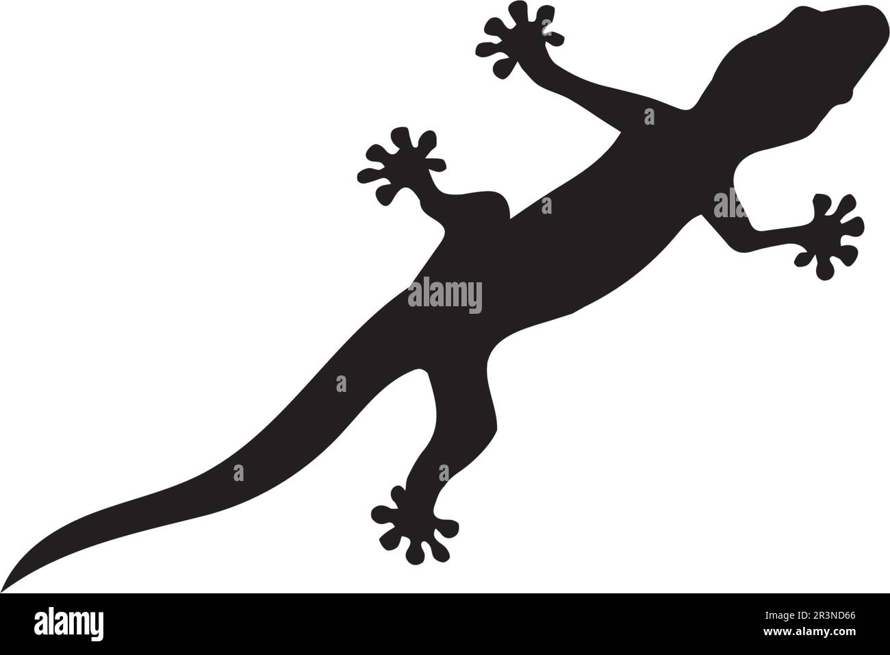 Vettore di lucertola, disegno, animale, e rettile, gecko Illustrazione Vettoriale